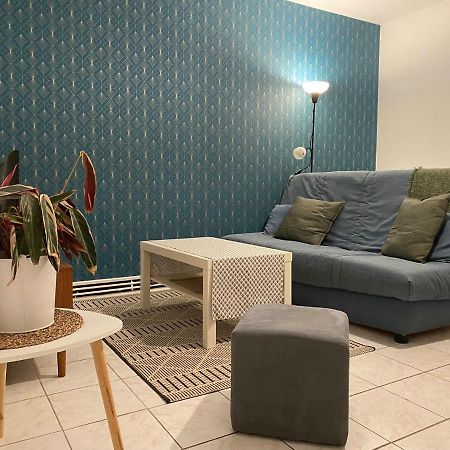 Appartement Cosy Pres De La Gare Avec Parking 圣皮埃尔德科尔 外观 照片